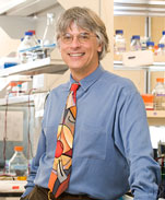 Paul J Hagerman