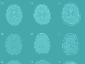 Transition to Adulthood Virtual Issue