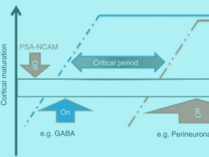 Early intervention: the power of parenting and practice in the light of the ICF-CY Virtual Issue