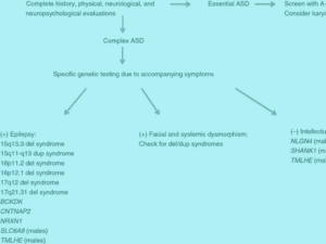 Autism Spectrum Disorders Virtual Issue