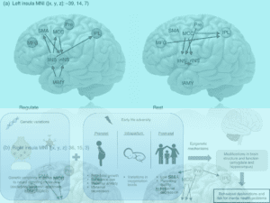 Developmental changes in paediatric neurodisability: from concepts to diagnostics and therapy Virtual Issue