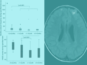 Virtual Issue on Epilepsy