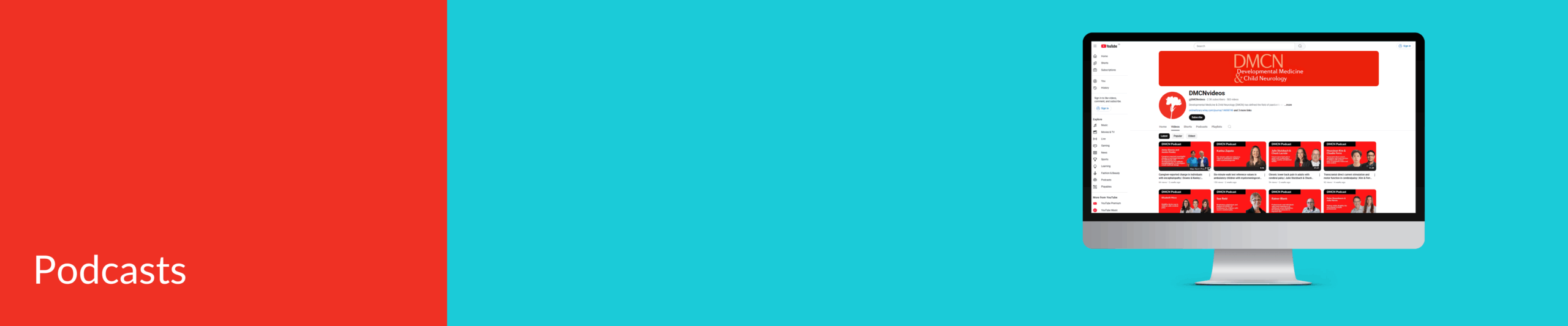 Plain Language Summaries